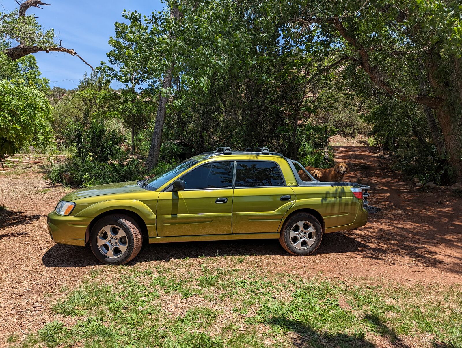 Subaru Baja