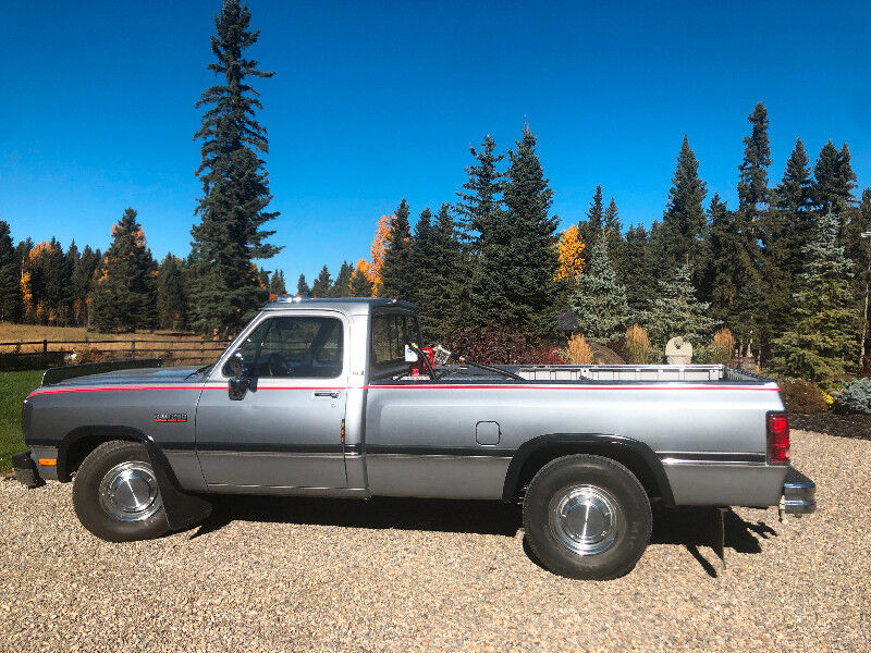 Dodge D-Series
