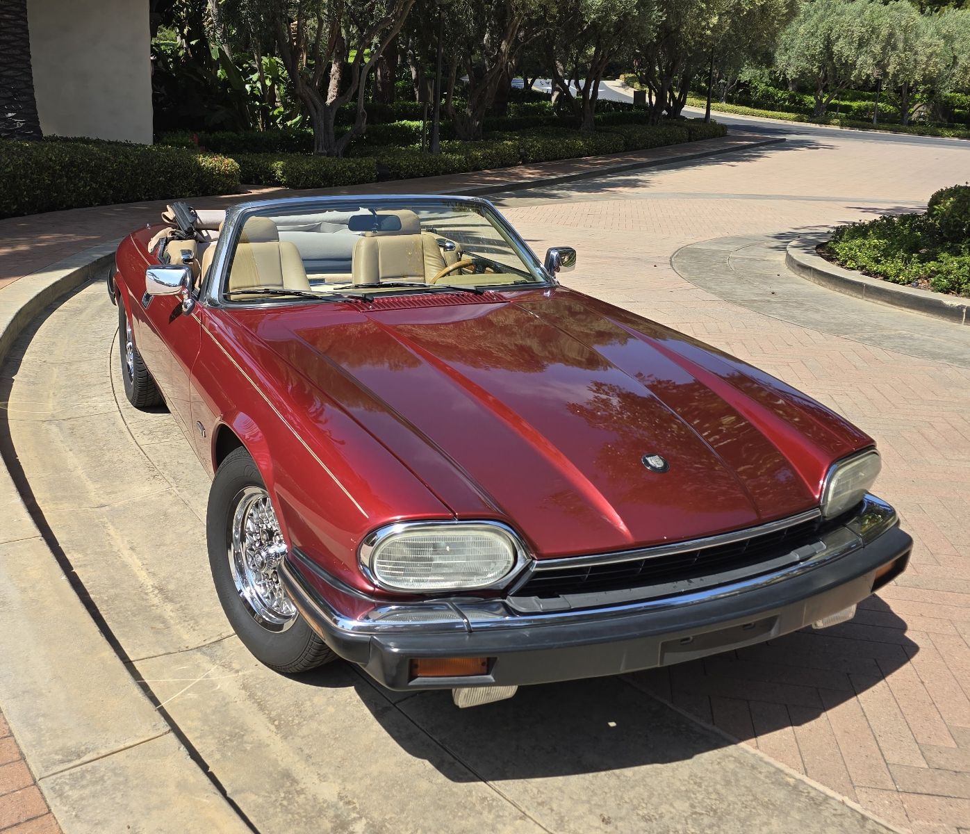 Jaguar XJS