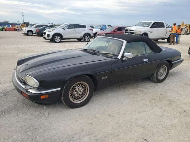 JAGUAR