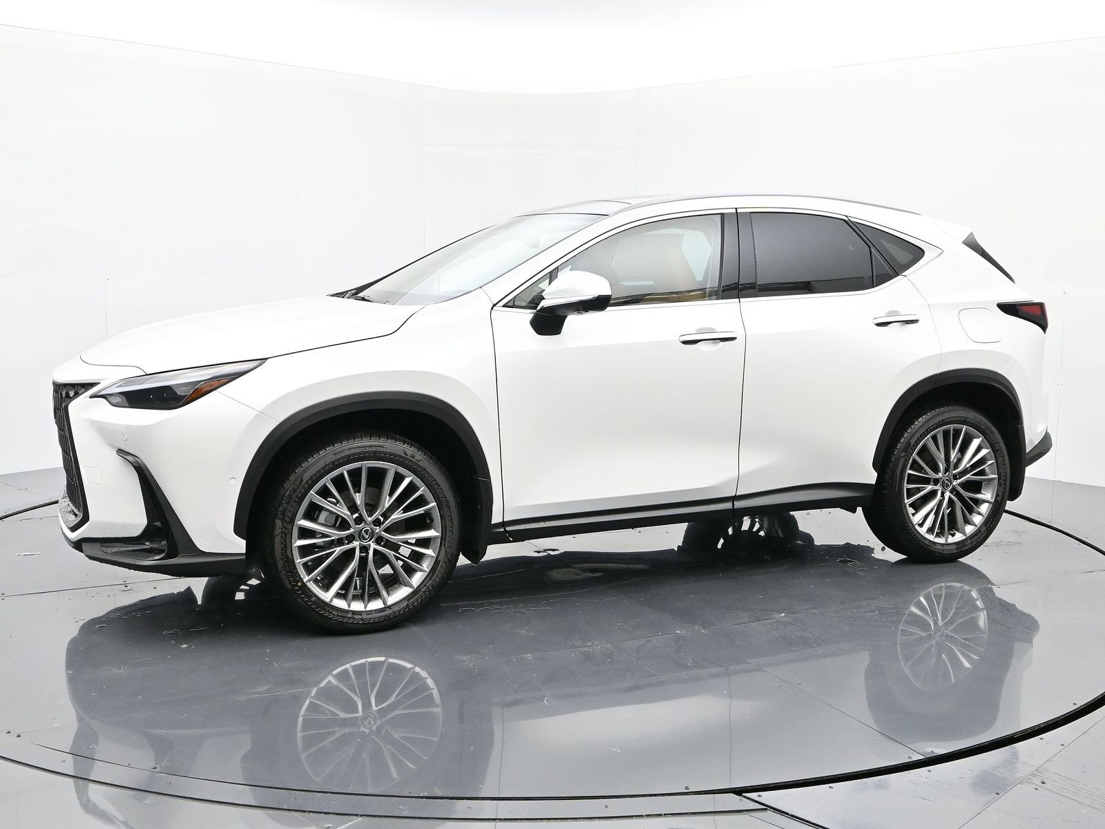 2025 Lexus NX