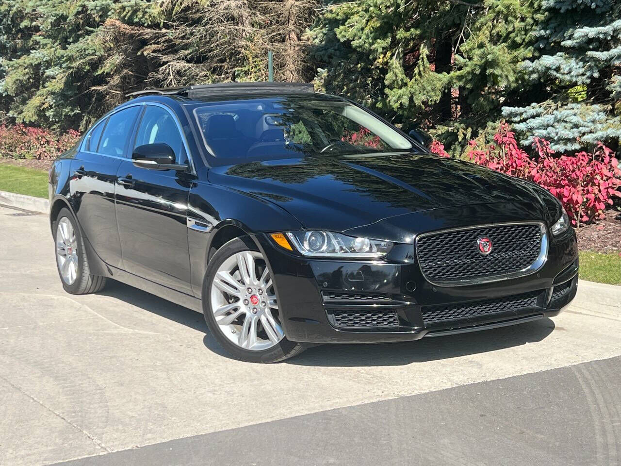 2019 JAGUAR XE