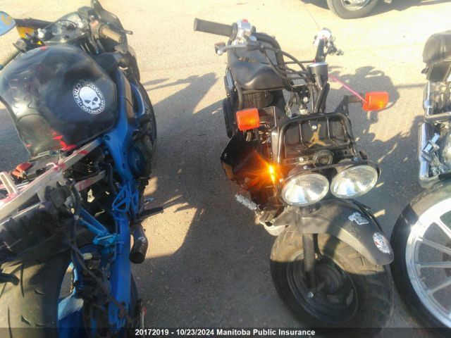 Honda NPS50 (Ruckus)
