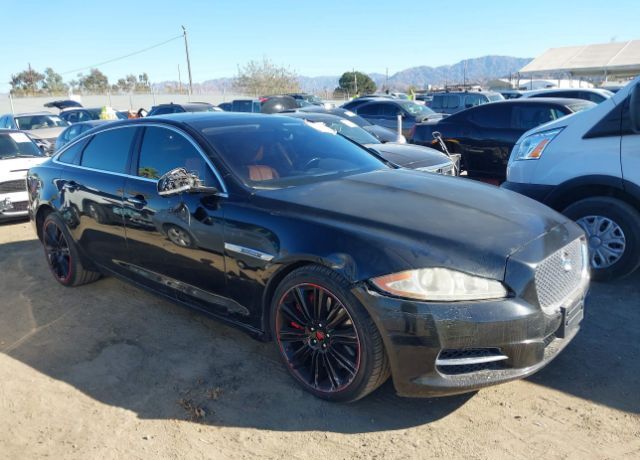 Jaguar XJ