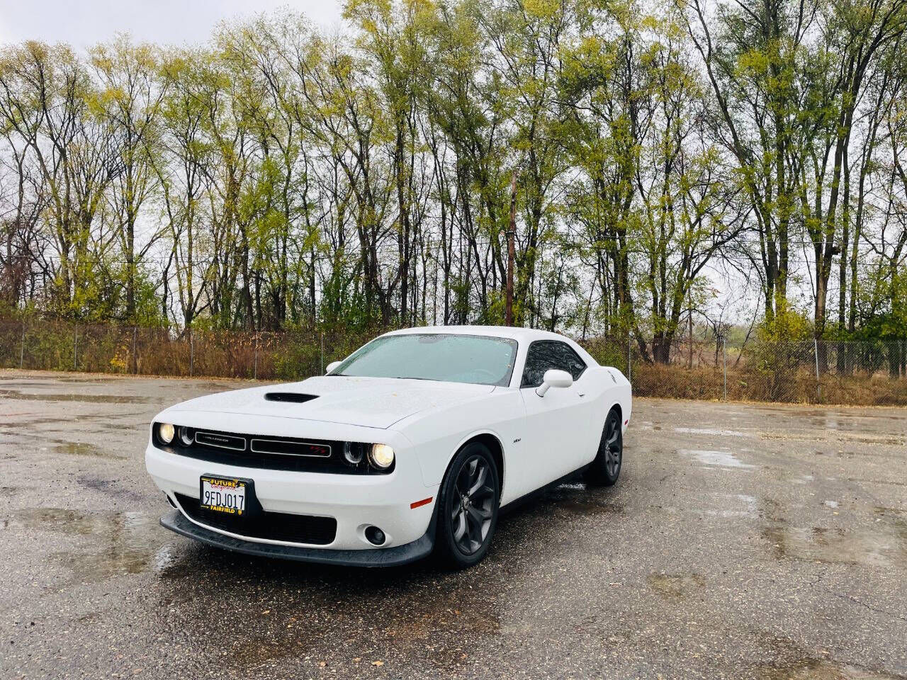 2019 DODGE Challenger