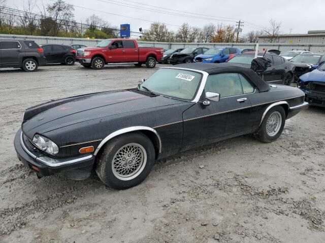 JAGUAR
