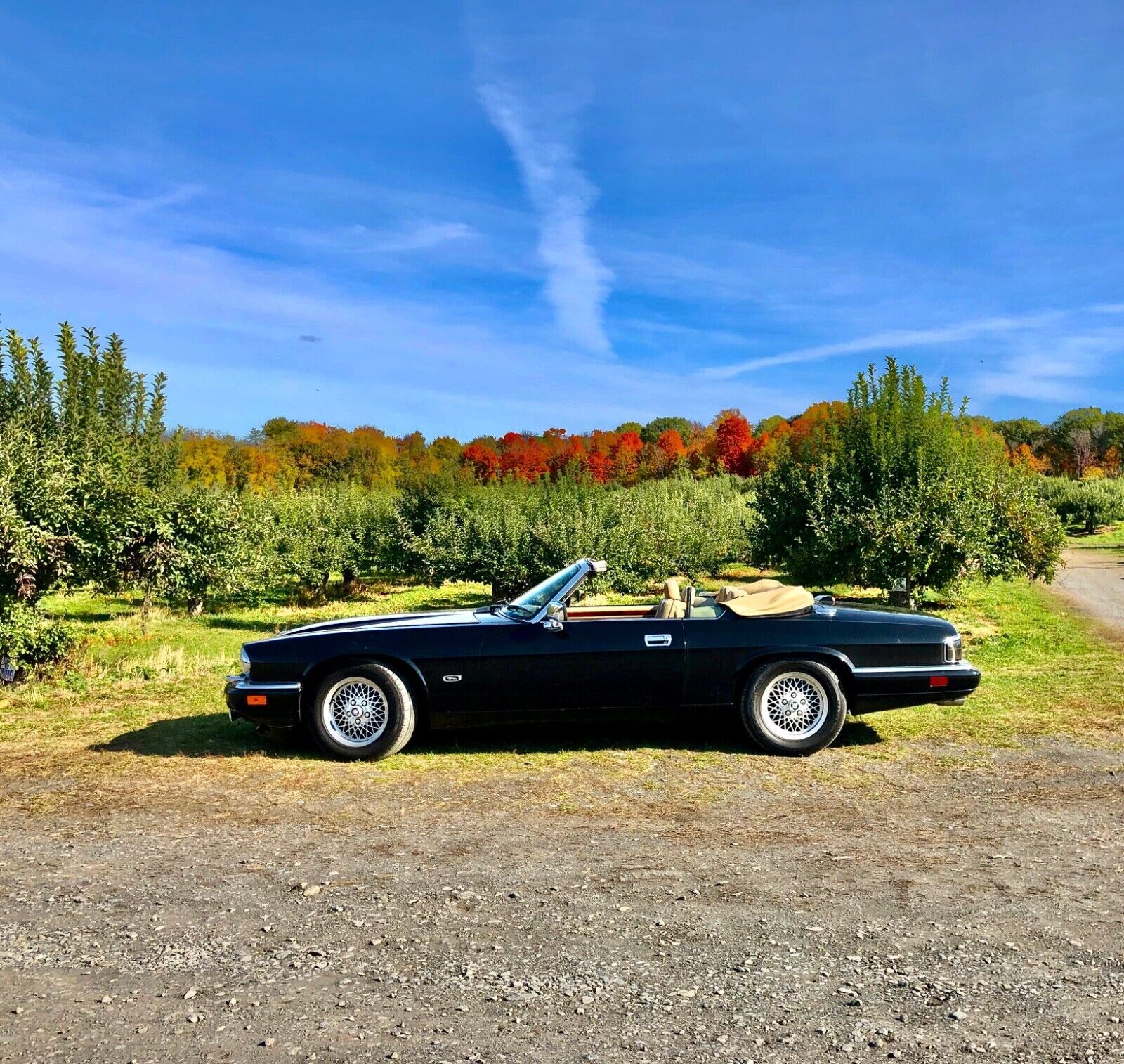 Jaguar XJS
