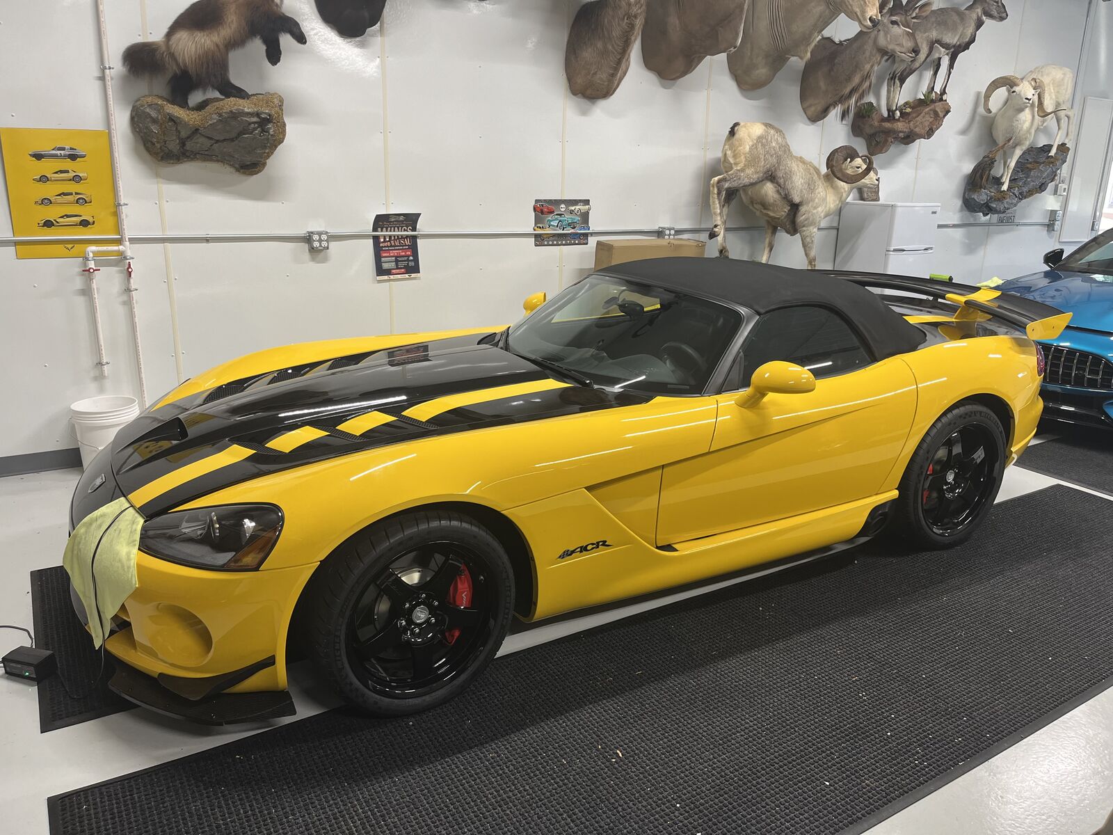Dodge Viper