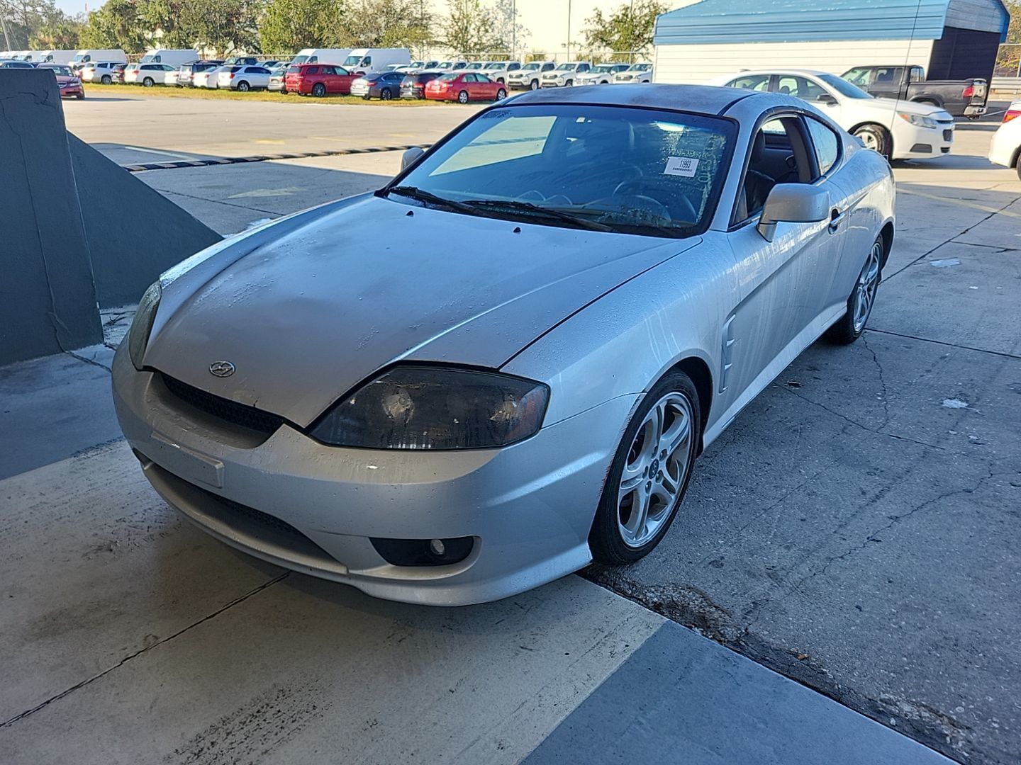 Hyundai Tiburon