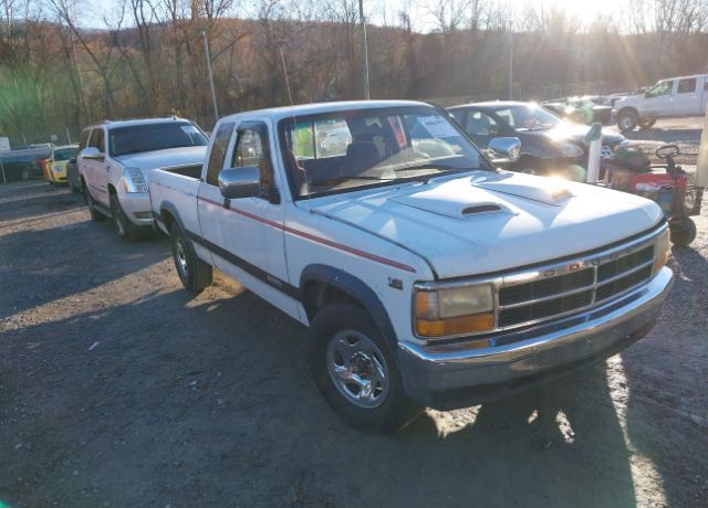 Dodge Dakota