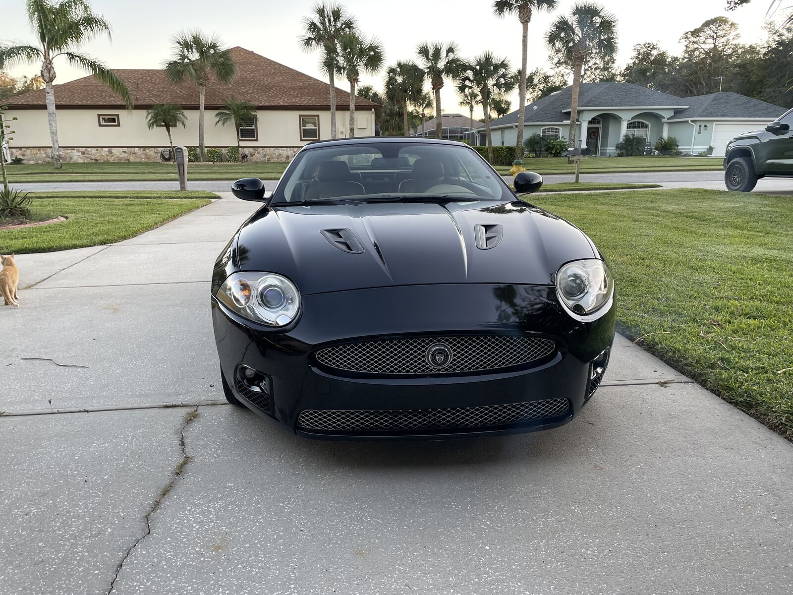 Jaguar XK