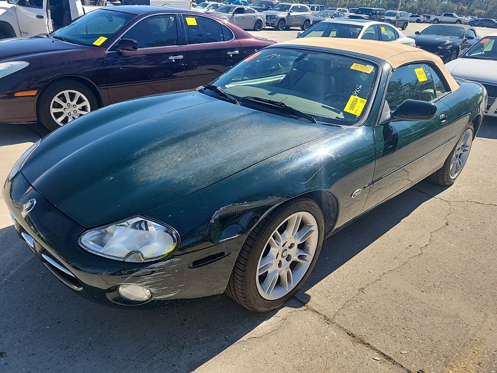 Jaguar XK8