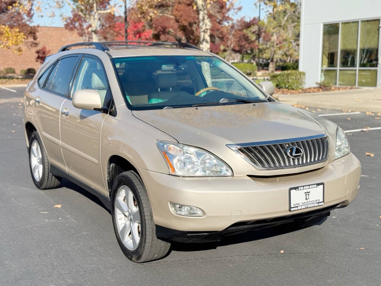 2008 LEXUS RX