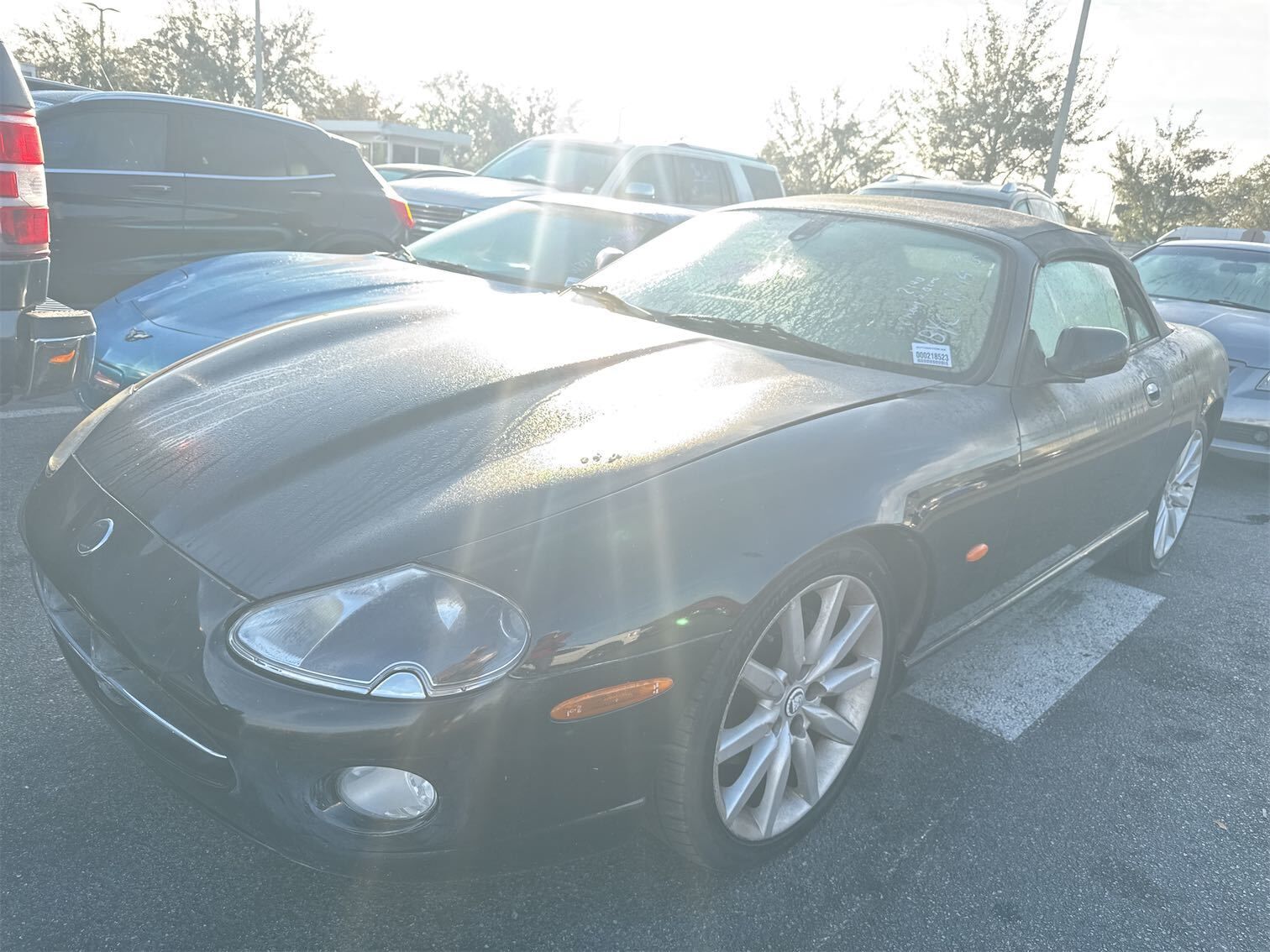 Jaguar XK