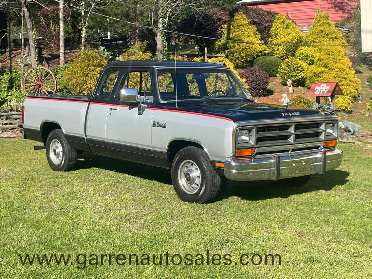 Dodge D-Series