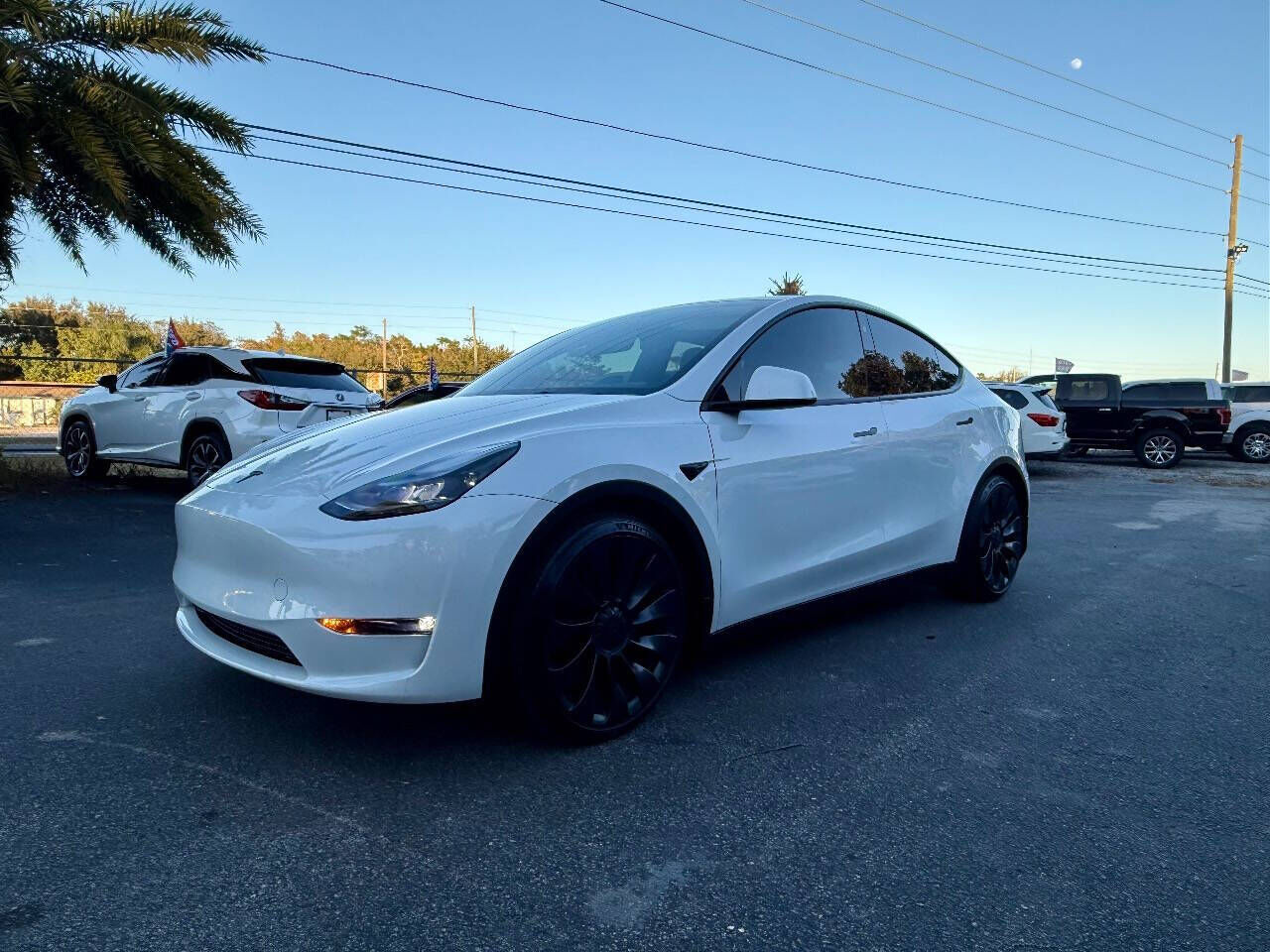 2023 TESLA Model Y