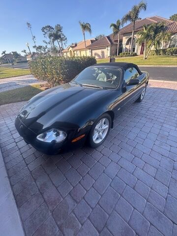 JAGUAR