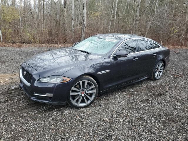 JAGUAR