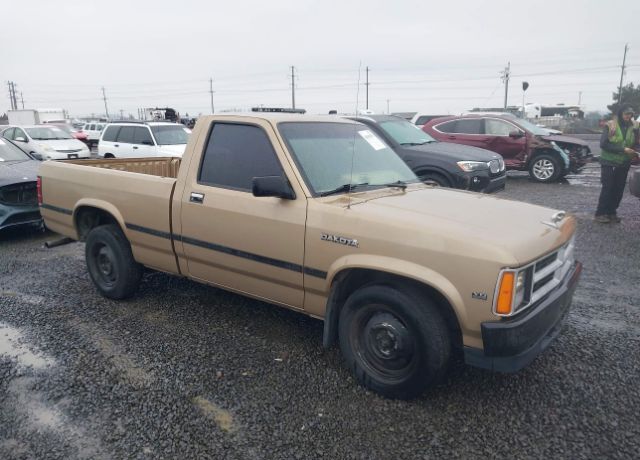 Dodge Dakota