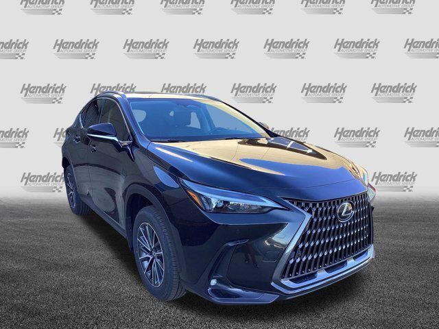 2025 Lexus NX