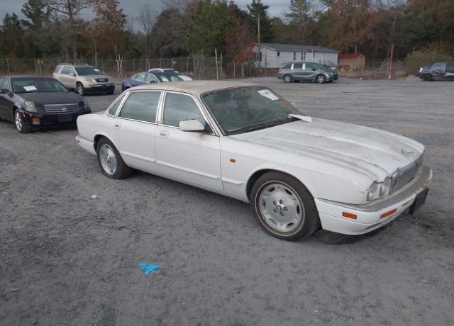 JAGUAR
