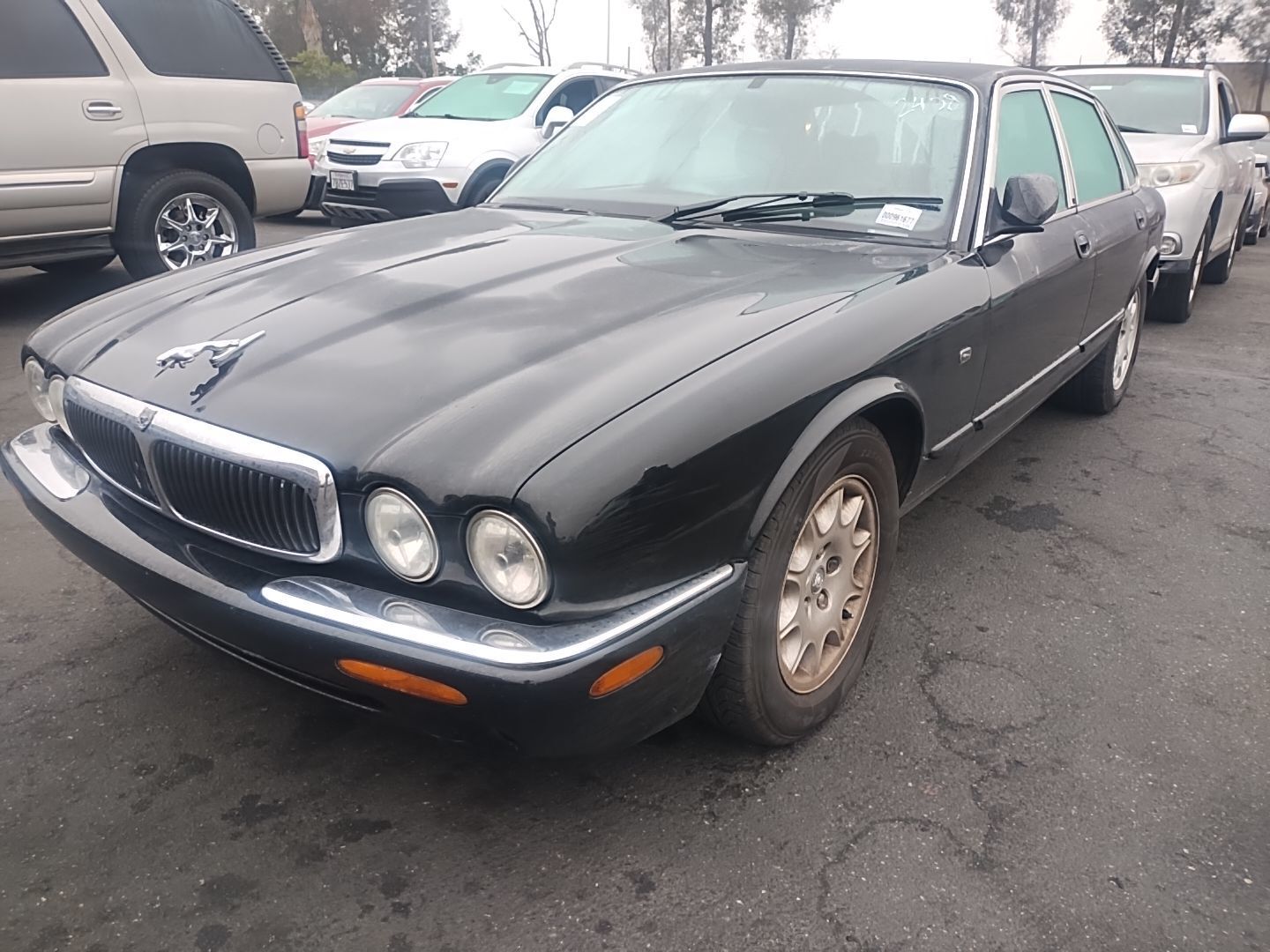 Jaguar XJ8