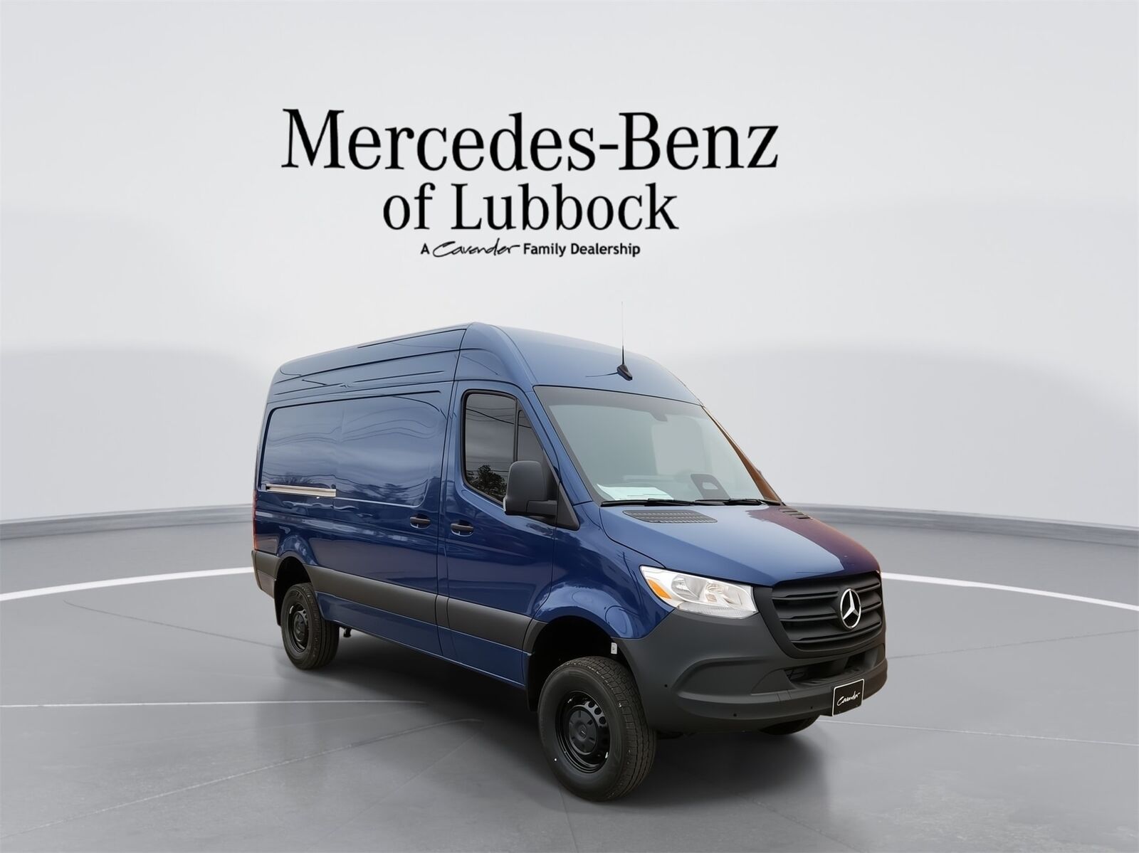 2025 MERCEDES-BENZ Sprinter