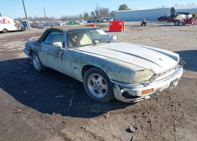 Jaguar XJS