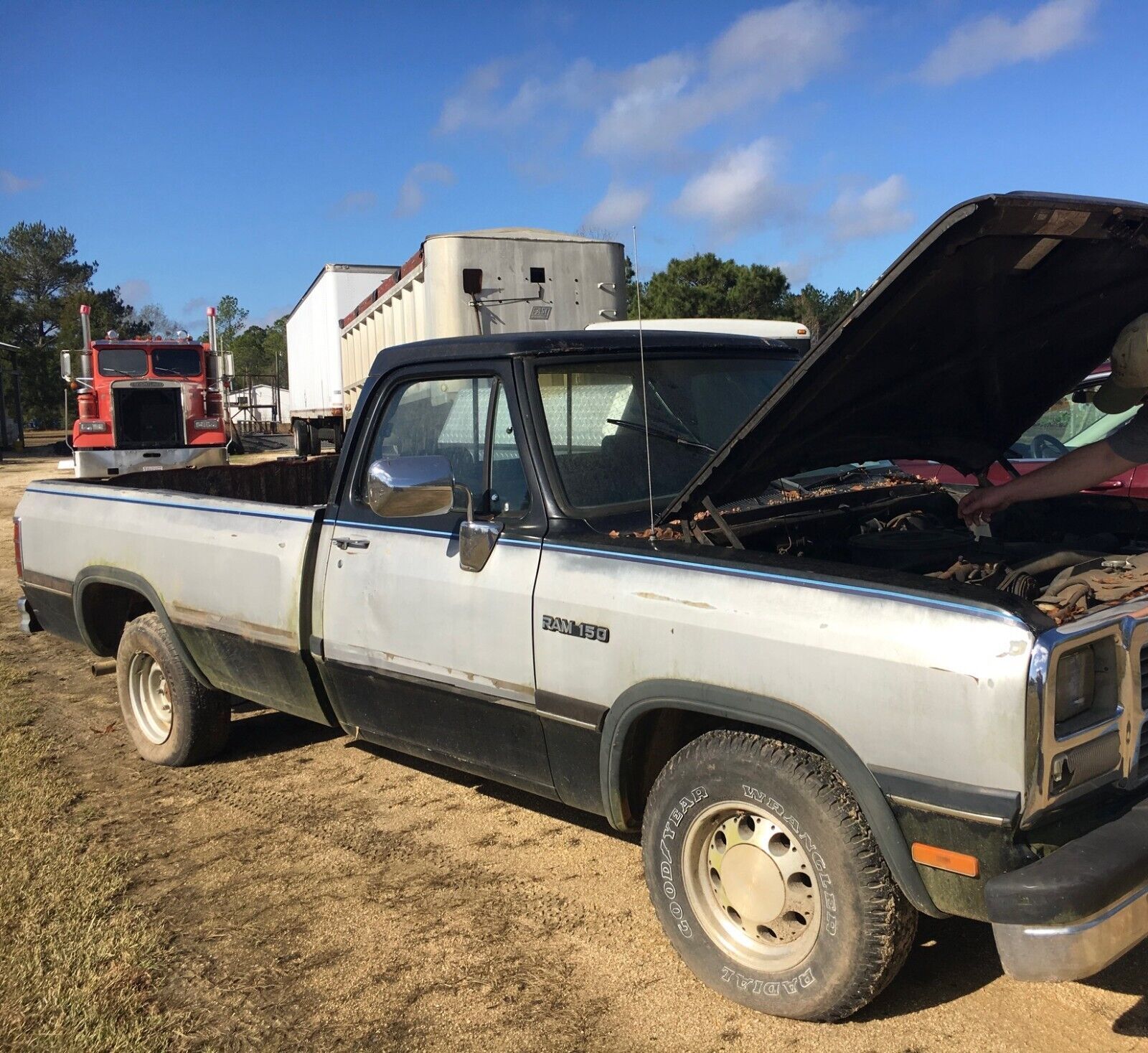 Dodge D-Series