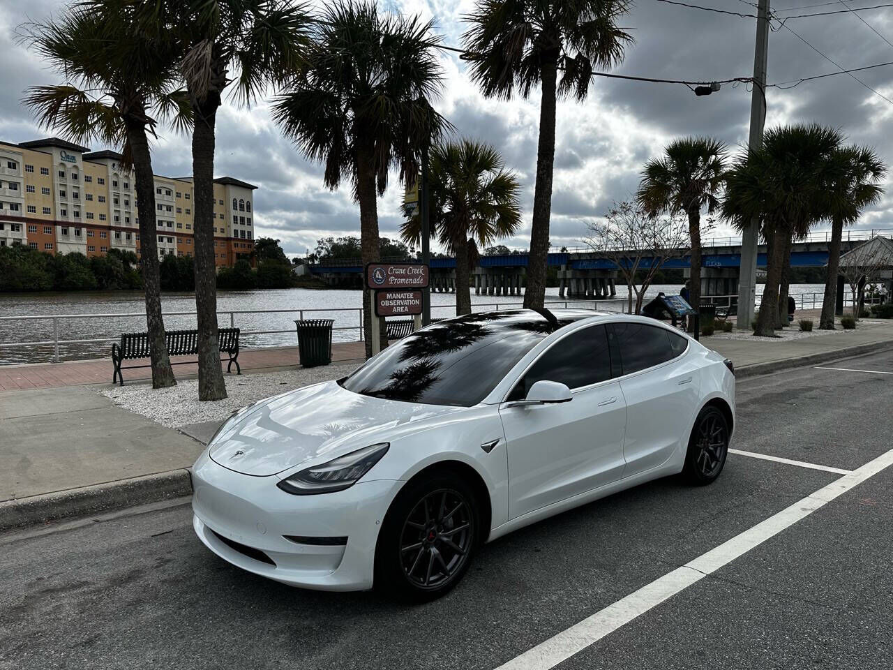 2020 TESLA Model 3