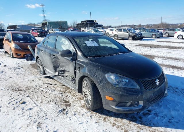 Suzuki Kizashi