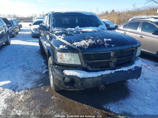 Dodge Dakota