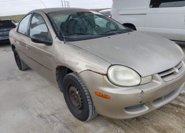 Dodge Neon