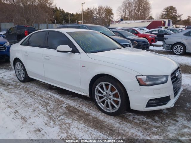AUDI