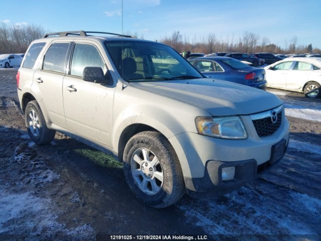 Mazda Tribute