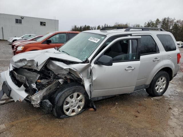 Mazda Tribute