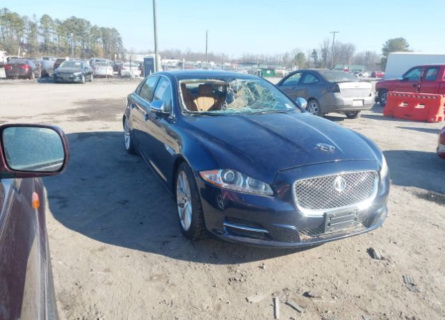 JAGUAR
