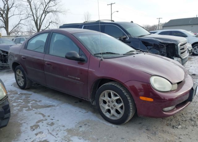 Dodge Neon