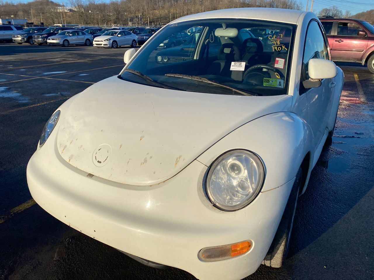 Volkswagen Beetle