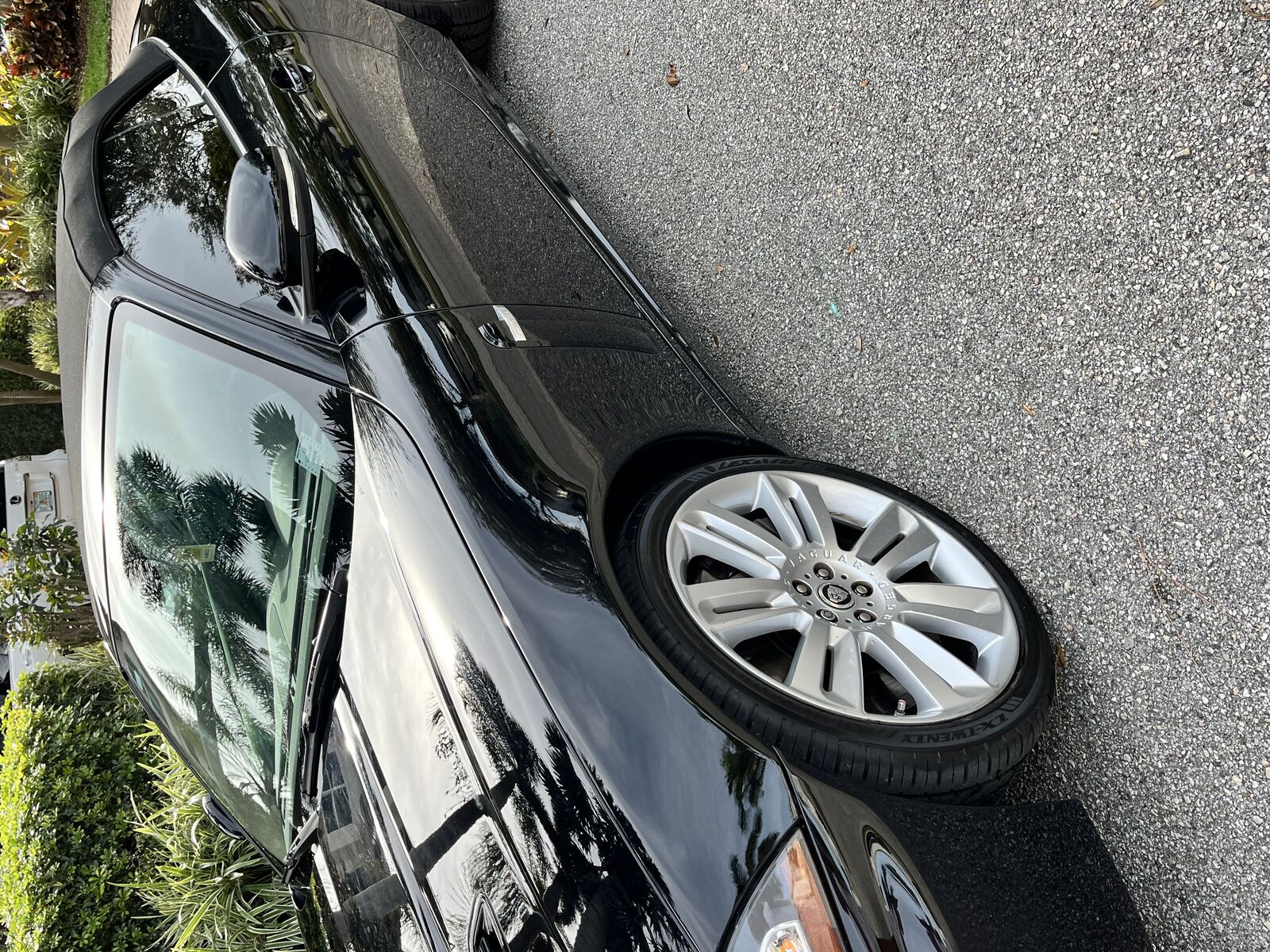 Jaguar XK