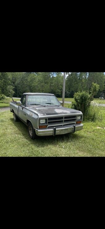 Dodge D-Series