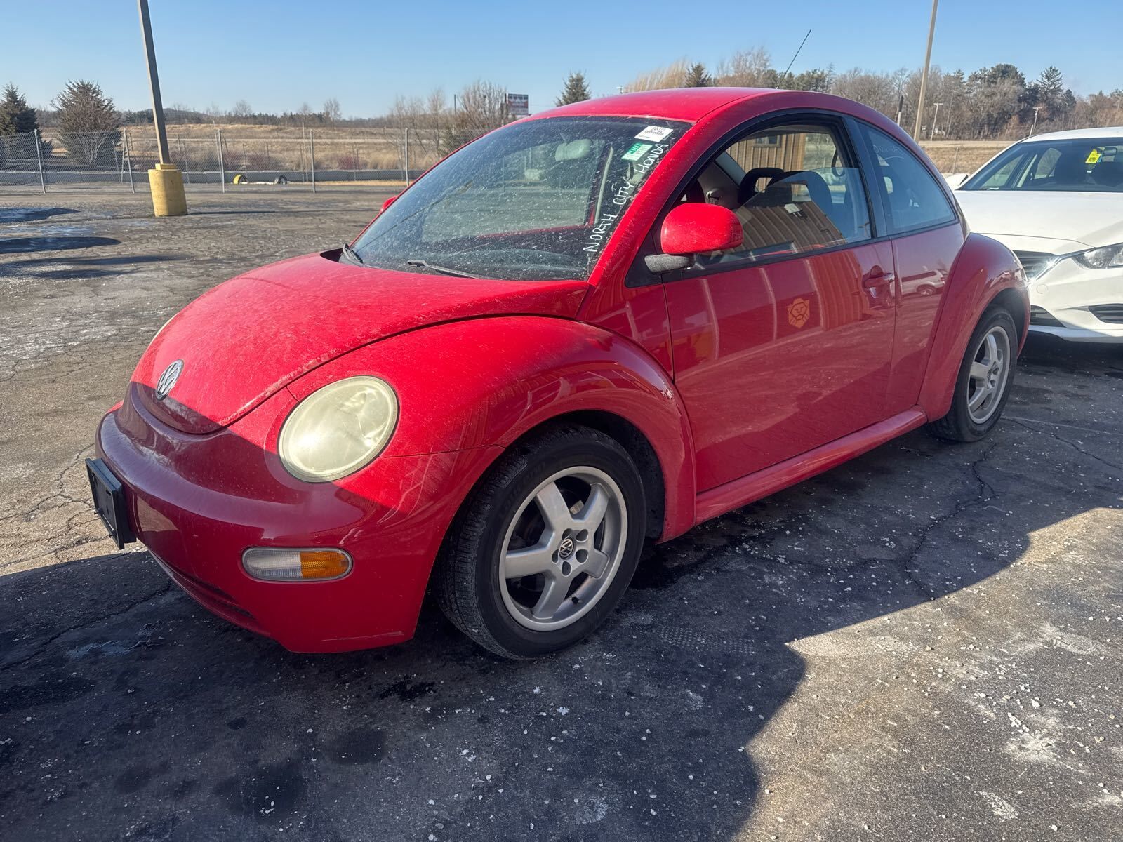 Volkswagen Beetle