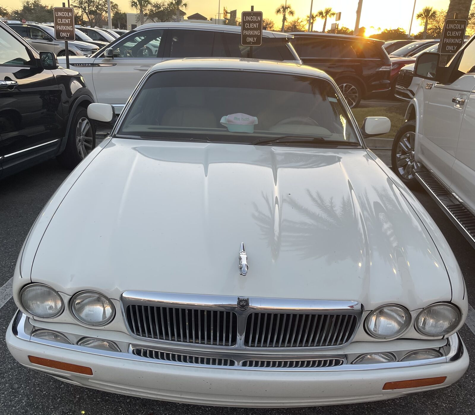 Jaguar XJ6