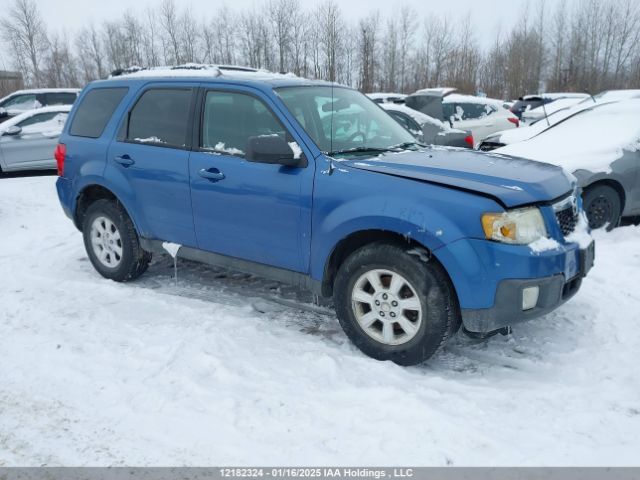 Mazda Tribute