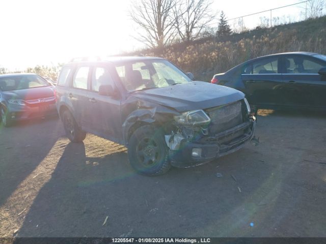 Mazda Tribute