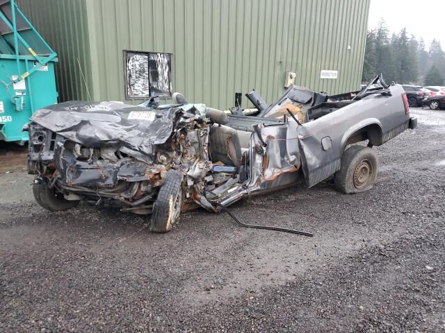 Dodge Dakota