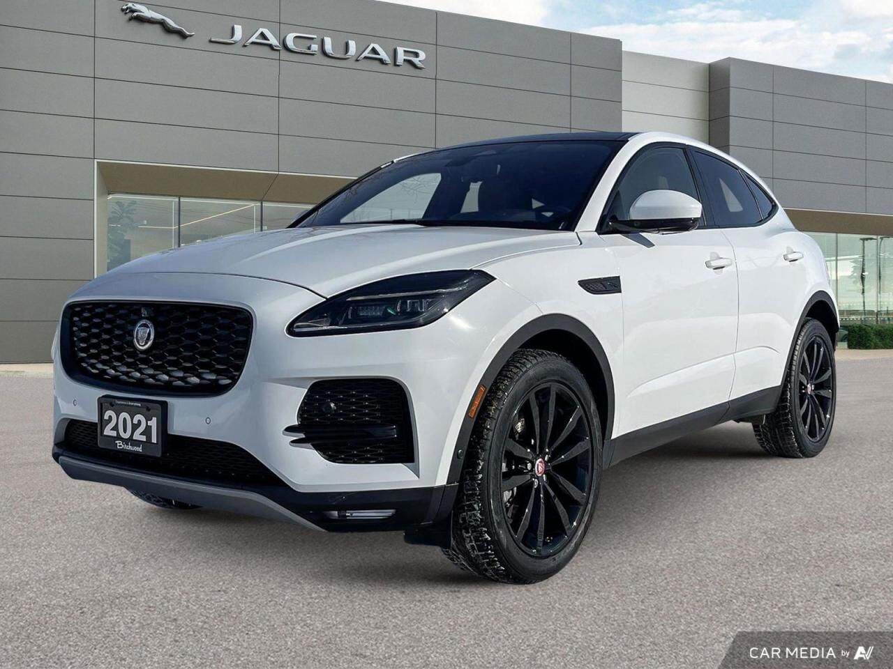 JAGUAR