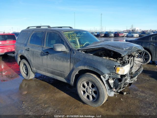 Mazda Tribute