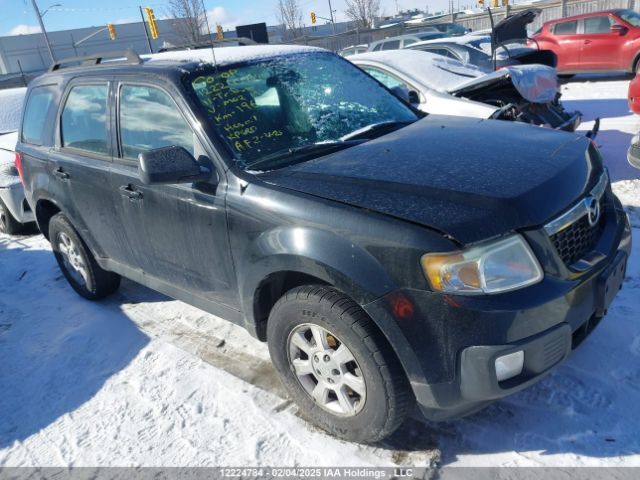 Mazda Tribute