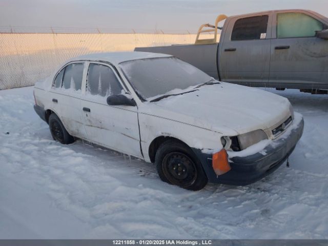 Toyota Tercel